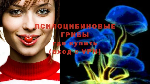 гидропоника Верхний Тагил
