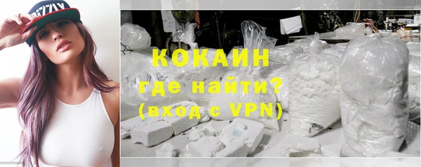 хмурый Верея