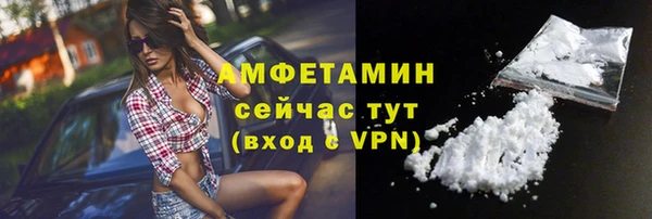 хмурый Верея