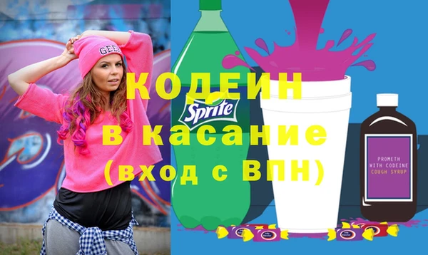 хмурый Верея