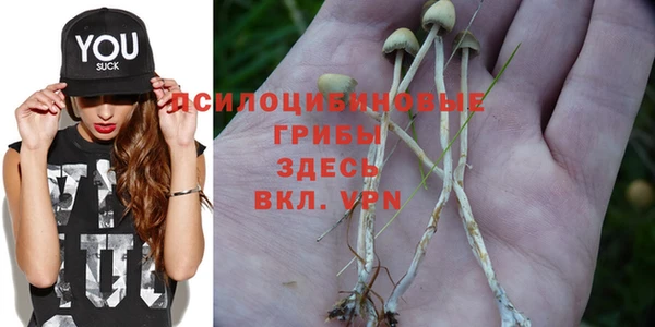 гидропоника Верхний Тагил