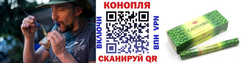 купить Великий Новгород Каннабис Amnesia
